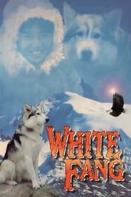 White Fang постер