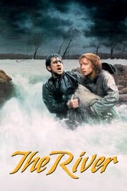 Poster The River 1984