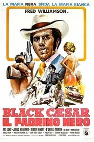 watch Black Caesar - Il Padrino nero now