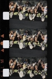 Poster Chevaux couleur 1988