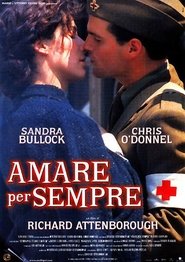 In Love and War