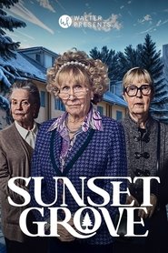 Sunset Grove (2025) Sunset Grove (2025)