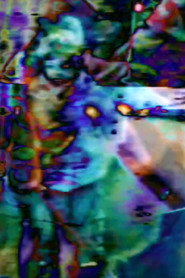 home movie