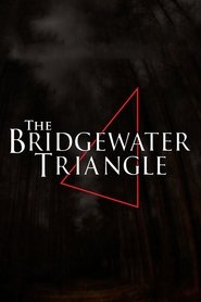 Poster The Bridgewater Triangle 2013