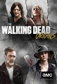 The Walking Dead: Origins poster