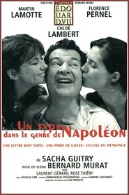 Poster Un type dans le genre de Napoléon 2008