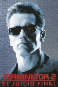 Terminator 2: El juicio final (MKV) Español Torrent