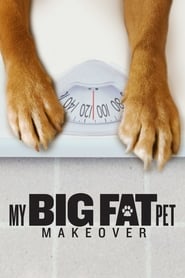 My Big Fat Pet Makeover poster