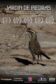 Poster Jardin De Piedras 2013