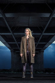 The Bridge poster