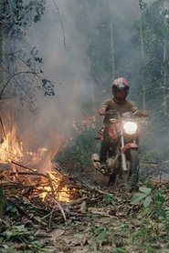 The Territory (2022)