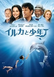 イルカと少年 (2011)