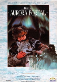 Bajo la aurora boreal