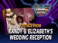 September 7, 1991 - Superstars of Wrestling 262