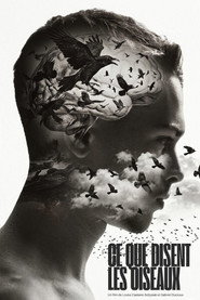 Ce que disent les Oiseaux