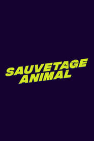 Sauvetage animal 2021