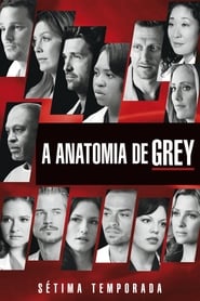 Assistir A Anatomia de Grey Temporada 7 Online