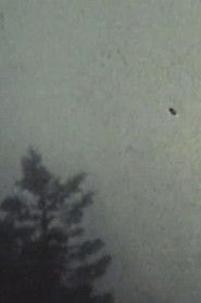 Se En fasansfull natt 1939 Svenskt Tal Stream