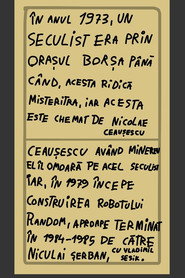 Random robotul din România постер