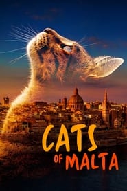 Poster Cats of Malta