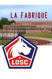 La fabrique (des jeunes footballeurs)