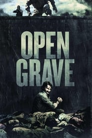 Poster Open Grave 2013