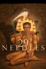 29 Needles