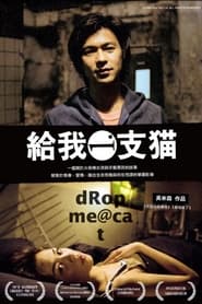 Poster 给我一支猫