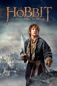 Le Hobbit : La Désolation de Smaug (2013) Le Hobbit : La Désolation de Smaug (2013)