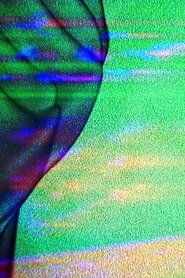 Poster The Flaw in the Crystal 2021 Poster The Flaw in the Crystal 2021