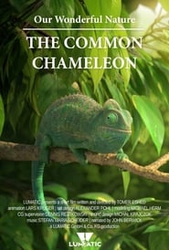 Poster Our Wonderful Nature - The Common Chameleon