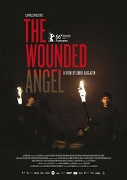 The Wounded Angel (2016)