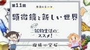 Episode 11