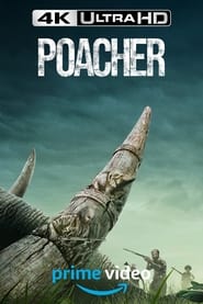 Poacher постер