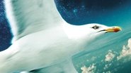 Jonathan Livingston le goéland