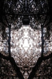 Poster Concrescence 2017