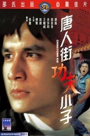 唐人街功夫小子 poster