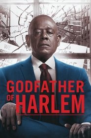 Godfather of Harlem TV Show | Where to watch?