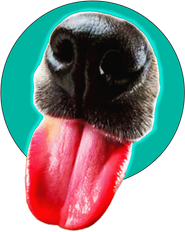 Logo for Dog Unlimited