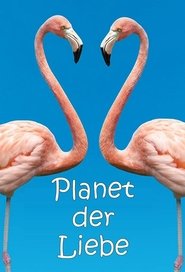 Planet der Liebe