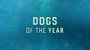 Dogs of the Year