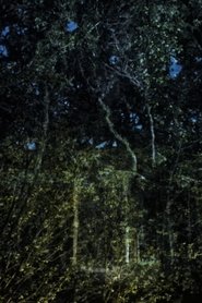 They witness time in longer intervalls (2022)