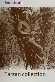 Tarzan (Elmo Lincoln) Collection collection poster