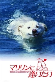 Shiro and Marilyn (1988)