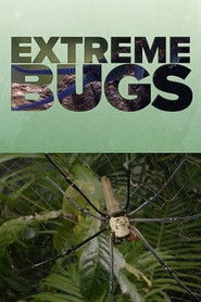 Extreme Bugs (2025)