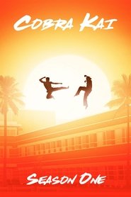 Cobra Kai - Season 1 Episode 1 : Ace Degenerate
