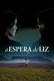 Poster A Espera de Liz