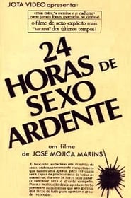 24 Horas de Sexo Explícito постер