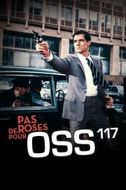 Regarder Pas de roses pour OSS 117 en streaming – FILMVF