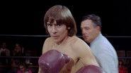 Monkees in the Ring
